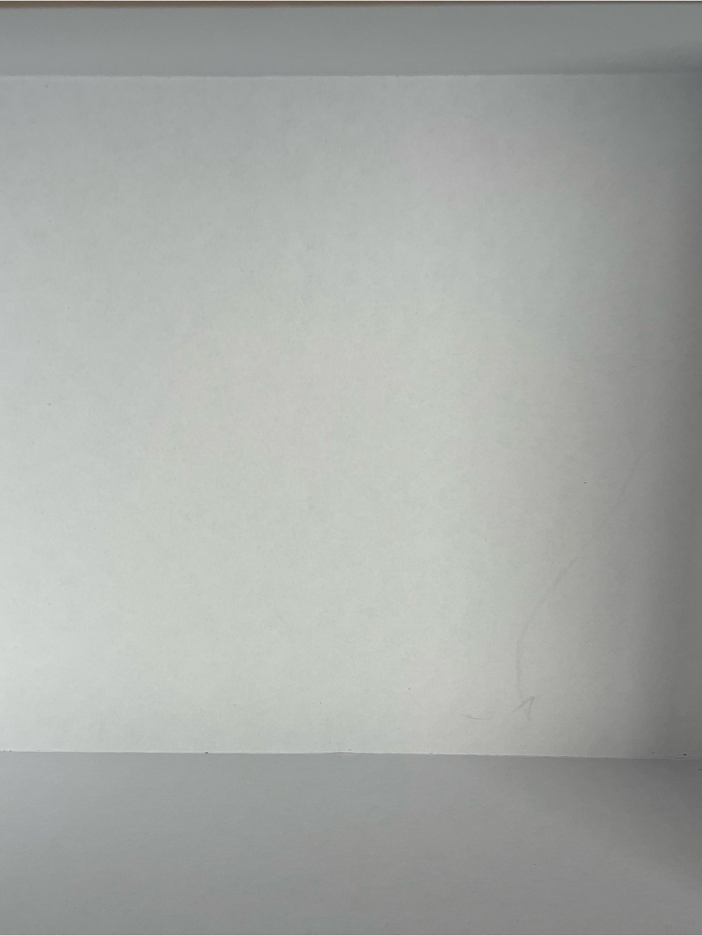 Christian Louboutin Box with White Logo - Picture 4 of 5